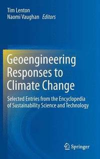 bokomslag Geoengineering Responses to Climate Change
