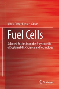 bokomslag Fuel Cells