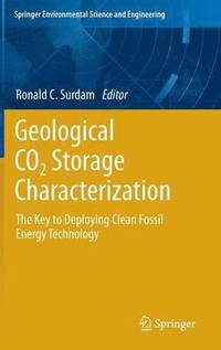 bokomslag Geological CO2 Storage Characterization