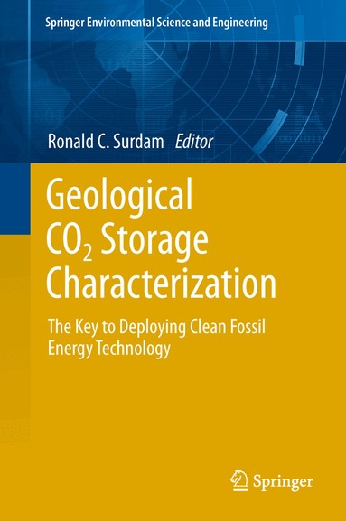 Ronald C. Surdam - Geological CO2 Storage Characterization, Inbunden