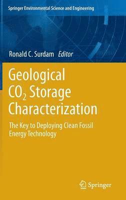 bokomslag Geological CO2 Storage Characterization