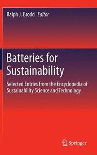 bokomslag Batteries for Sustainability