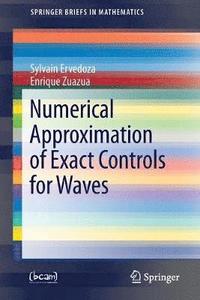 bokomslag Numerical Approximation of Exact Controls for Waves