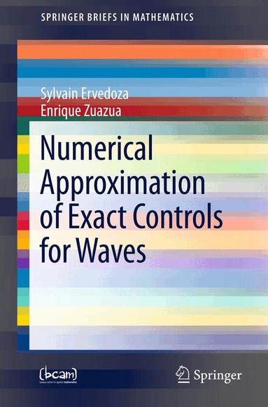 Sylvain Ervedoza, Enrique Zuazua - Numerical Approximation of Exact Controls for Waves, Häftad