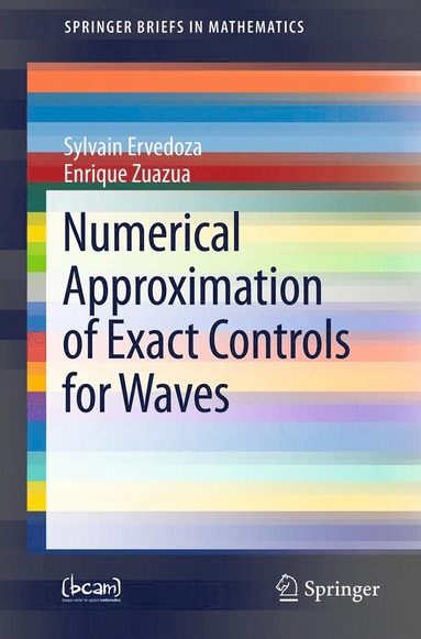 bokomslag Numerical Approximation of Exact Controls for Waves