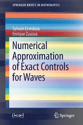 Sylvain Ervedoza, Enrique Zuazua - Numerical Approximation of Exact Controls for Waves, Häftad