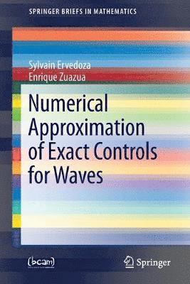 Numerical Approximation of Exact Controls for Waves 1