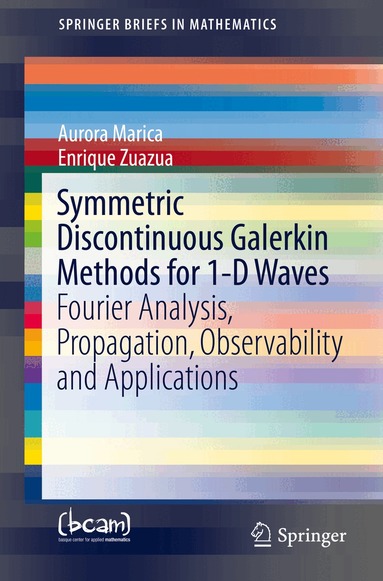 Aurora Marica, Enrique Zuazua - Symmetric Discontinuous Galerkin Methods for 1-D Waves, Häftad