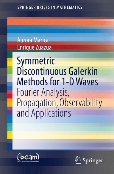 bokomslag Symmetric Discontinuous Galerkin Methods for 1-D Waves