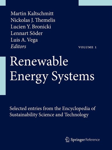 Martin Kaltschmitt, Nickolas J. Themelis, Lucien Y. Bronicki, Lennart Söder, Luis A. Vega - Renewable Energy Systems, Inbunden