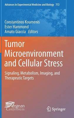 bokomslag Tumor Microenvironment and Cellular Stress