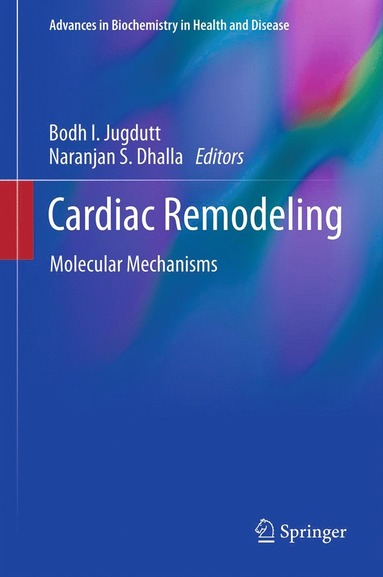 bokomslag Cardiac Remodeling