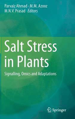 bokomslag Salt Stress in Plants