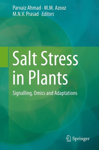 bokomslag Salt Stress in Plants