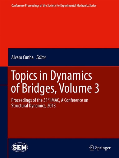 Alvaro Cunha - Topics in Dynamics of Bridges, Volume 3, Inbunden