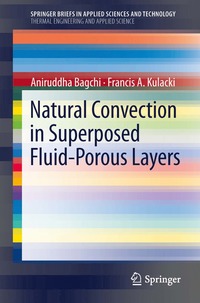 bokomslag Natural Convection in Superposed Fluid-Porous Layers