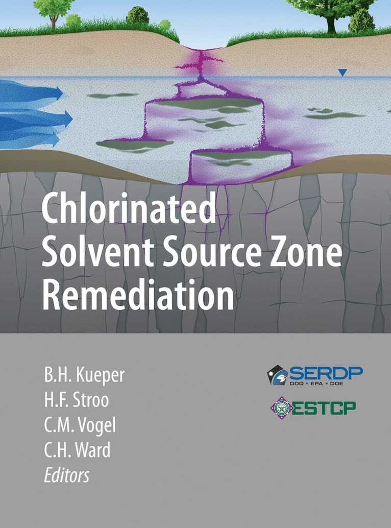 Bernard H. Kueper, Hans F. Stroo, Catherine M. Vogel, C. Herb Ward - Chlorinated Solvent Source Zone Remediation, Inbunden