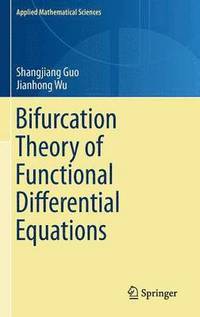 bokomslag Bifurcation Theory of Functional Differential Equations