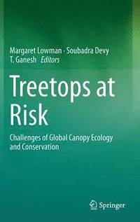 bokomslag Treetops at Risk