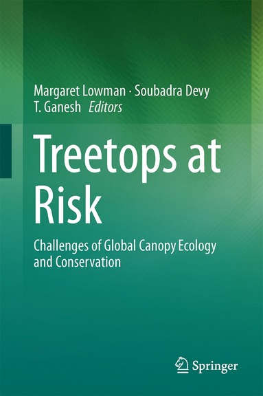 bokomslag Treetops at Risk