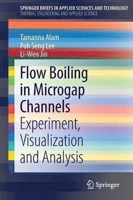 Tamanna Alam, Poh Seng Lee, Liwen Jin - Flow Boiling in Microgap Channels, Häftad
