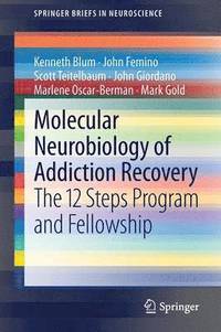 bokomslag Molecular Neurobiology of Addiction Recovery