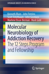 bokomslag Molecular Neurobiology of Addiction Recovery