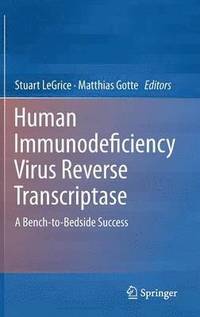 bokomslag Human Immunodeficiency Virus Reverse Transcriptase