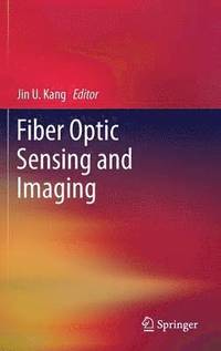 bokomslag Fiber Optic Sensing and Imaging