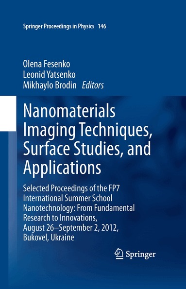 Olena Fesenko, Leonid Yatsenko, Mikhaylo Brodin - Nanomaterials Imaging Techniques, Surface Studies, and Applications, Inbunden