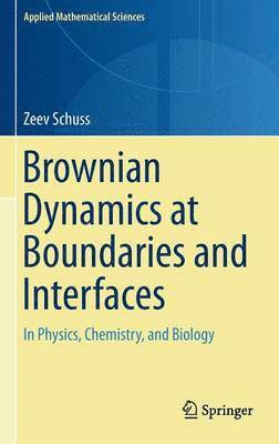 bokomslag Brownian Dynamics at Boundaries and Interfaces