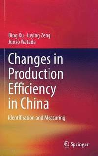 bokomslag Changes in Production Efficiency in China
