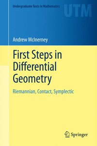 bokomslag First Steps in Differential Geometry