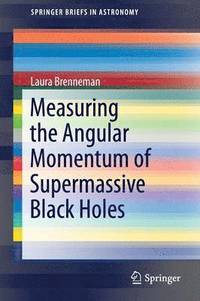 bokomslag Measuring the Angular Momentum of Supermassive Black Holes