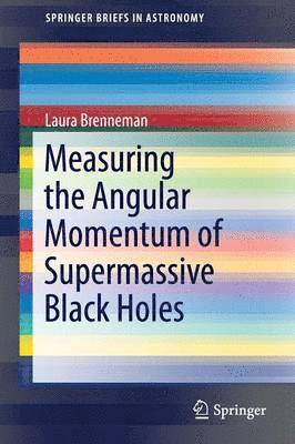 Measuring the Angular Momentum of Supermassive Black Holes 1