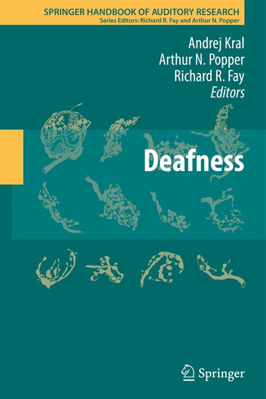 Andrej Kral, Arthur N. Popper, Richard R. Fay - Deafness, Inbunden