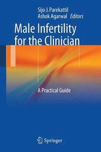 bokomslag Male Infertility for the Clinician