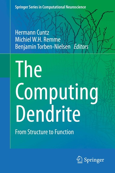 Hermann Cuntz, Michiel W.H. Remme, Benjamin Torben-Nielsen - Computing Dendrite, Inbunden