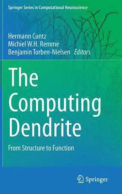 The Computing Dendrite 1