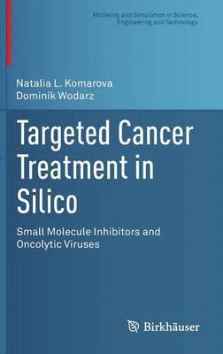 Targeted Cancer Treatment in Silico 1