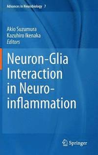 bokomslag Neuron-Glia Interaction in Neuroinflammation