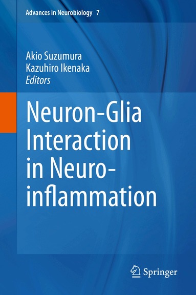 Akio Suzumura, Kazuhiro Ikenaka - Neuron-Glia Interaction in Neuroinflammation, Inbunden