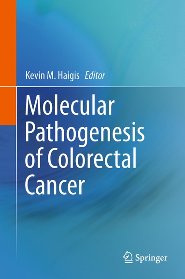 bokomslag Molecular Pathogenesis of Colorectal Cancer