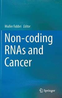 bokomslag Non-coding RNAs and Cancer