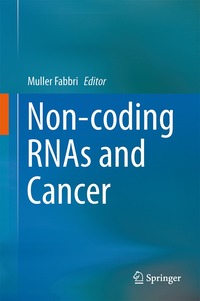 bokomslag Non-coding RNAs and Cancer