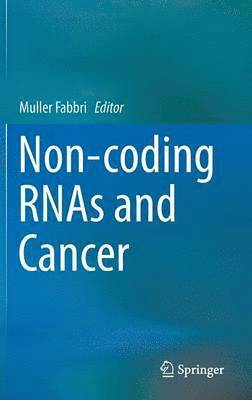 bokomslag Non-coding RNAs and Cancer