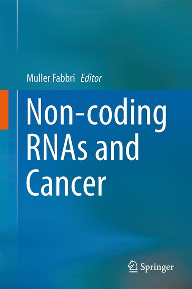 bokomslag Non-coding RNAs and Cancer