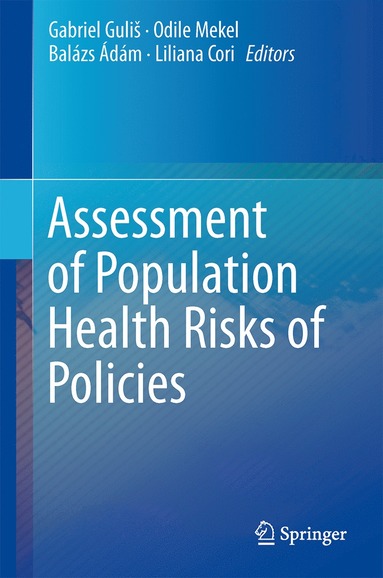 bokomslag Assessment of Population Health Risks of Policies