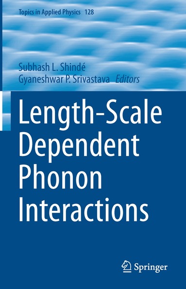 Subhash L. Shindé, Gyaneshwar P. Srivastava - Length-Scale Dependent Phonon Interactions, Inbunden