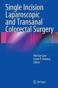 bokomslag Single Incision Laparoscopic and Transanal Colorectal Surgery